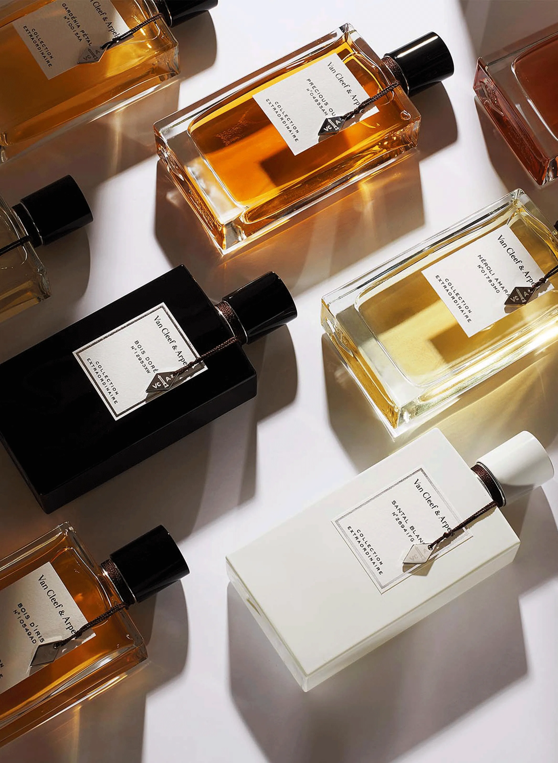 EAU DE PARFUM PATCHOULI BLANC - VAN CLEEF & ARPELS pour BEAUTé | Printemps